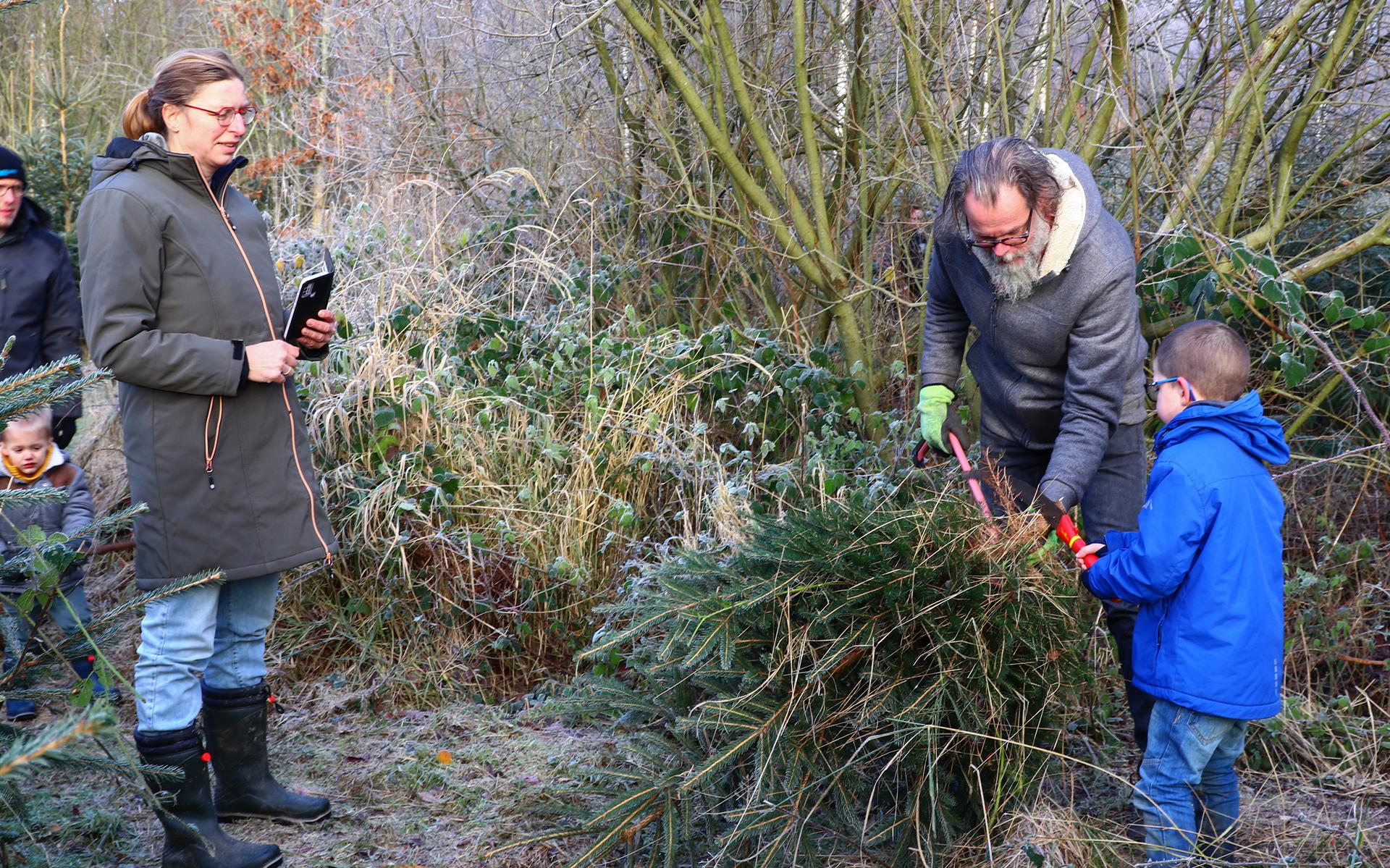 Eigen kerstboom zagen in het Kuinderbos De Noordoostpolder